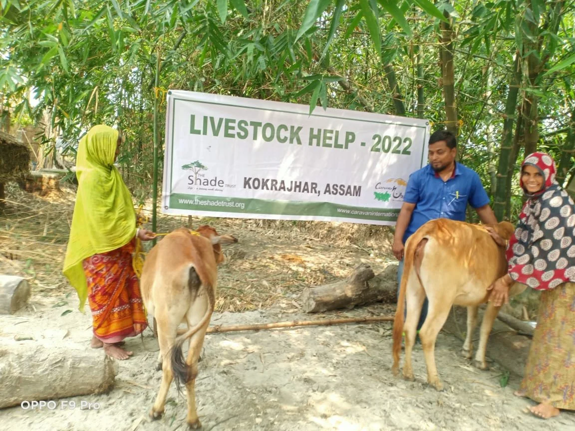 Livestock Support